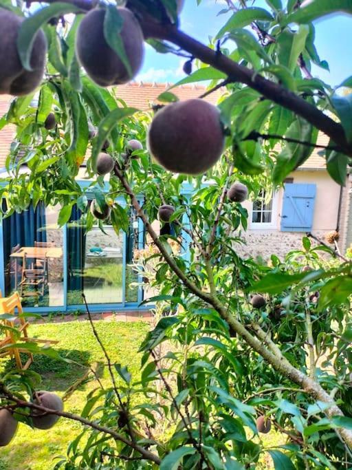 Charmante Maisonnette En Pierre Écardenville-sur-Eure Εξωτερικό φωτογραφία